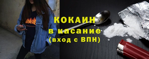 твердый Алзамай