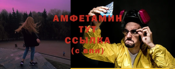 шишки Алексеевка