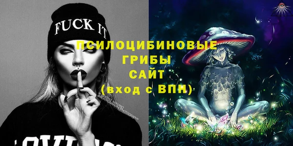 МДПВ Алексин