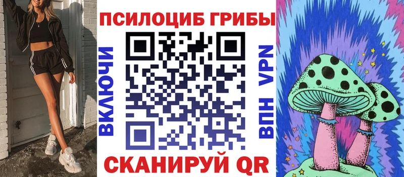 Псилоцибиновые грибы прущие грибы  Осинники 