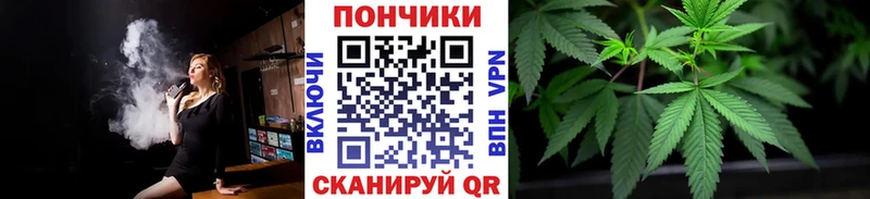 Конопля гибрид  ссылка на мегу как войти  Осинники  наркота 